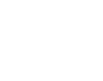 The Project Fellas